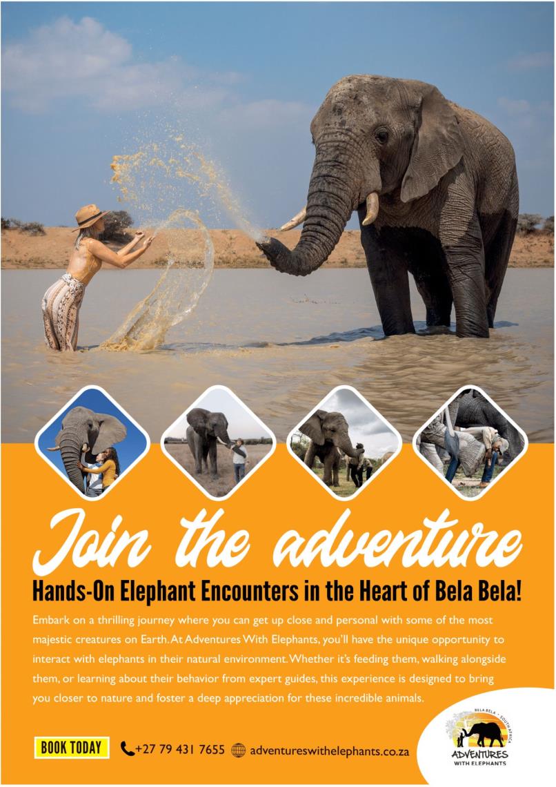 Adventure with Elephants (Bela-Bela)